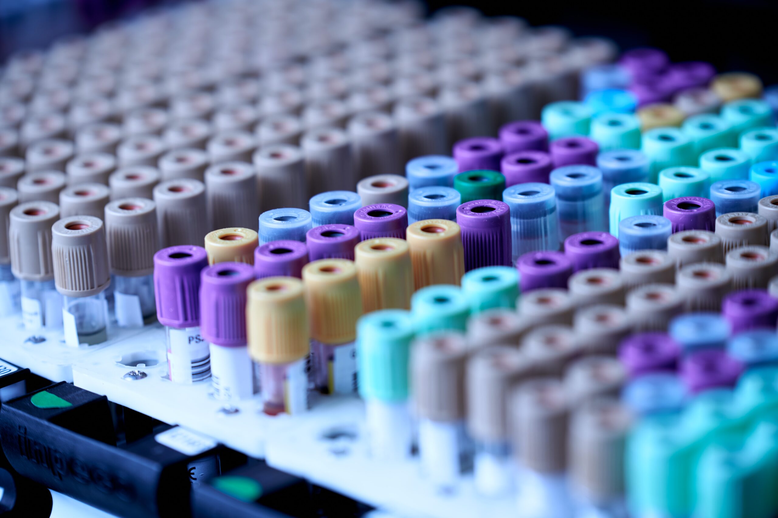 Shelf Life Testing in the UAE