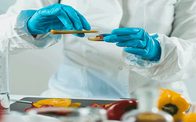 Food Safety